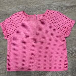 Zara Pink NWOT crop top